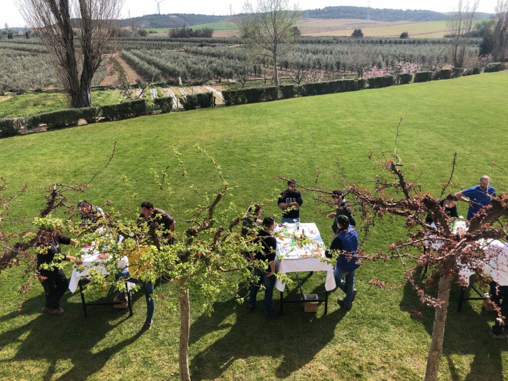 picnic en artajo