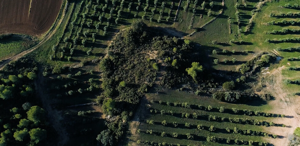 Priorat